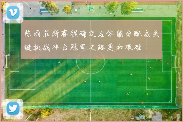 陈雨菲新赛程确定后体能分配成关键挑战冲击冠军之路更加艰难